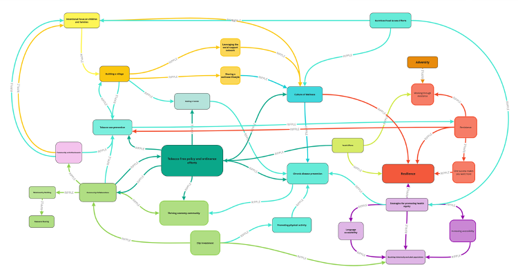 Image of a coded and simplified Ripple Effects Mapping from the Kansas Department of Health and Environment Chronic Disease Risk Reduction evaluation 