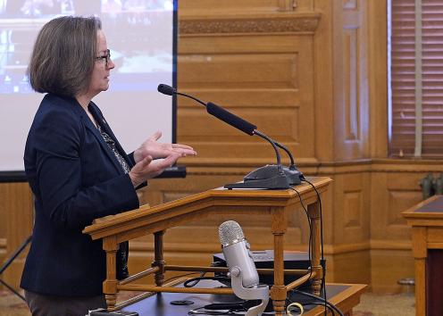 Associate Director Teri Garstka Addressing the Kansas Children's Cabinet and Trust Fund Cabinet in 2019.